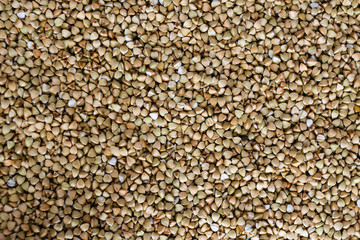 Dry Green Buckwheat Grain. Healthy Cereal Vegetarian Food Background