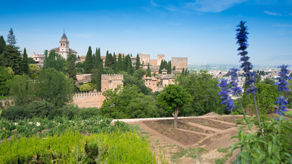 Fototapeta na wymiar Granada, Spain - Alhambra Palace and City of Granada