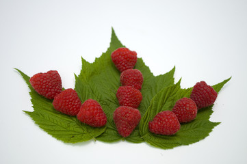 Bright red fresh raspberries, from a family orchard. The raspberry type is Polana © mr2853