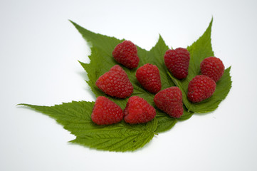 Bright red fresh raspberries, from a family orchard. The raspberry type is Polana © mr2853