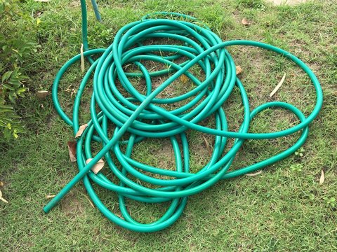 green rubber band on green grass