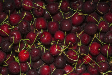 Cherry