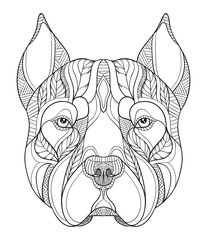 Pit bull terrier head zentangle, doodle stylized, vector, illustration, hand drawn, pattern. Zen art. Print for coloring books. Black and white illustration on white background. Line art.