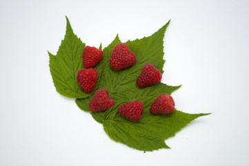 Bright red fresh raspberries, from a family orchard. The raspberry type is Polana © mr2853
