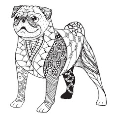 Pug dog zentangle stylized, vector, illustration, freehand pencil, hand drawn, pattern. Zen art. Black and white illustration on white background.