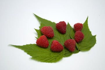 Bright red fresh raspberries, from a family orchard. The raspberry type is Polana © mr2853