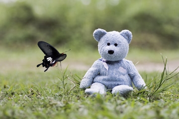 Blue Teddy bear  sitting on the grass and Common Rose Butterfly flies to the bear.