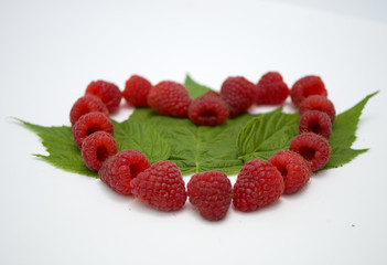 Bright red fresh raspberries, from a family orchard. The raspberry type is Polana © mr2853