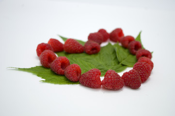 Bright red fresh raspberries, from a family orchard. The raspberry type is Polana © mr2853