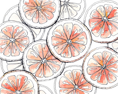Watercolor pattern with cut grapefruit.
