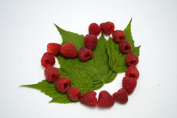 Bright red fresh raspberries, from a family orchard. The raspberry type is Polana © mr2853