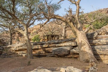 Escarpment around Banani village, Dogon Plateau, Mali