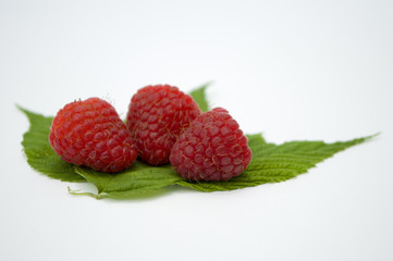 Bright red fresh raspberries, from a family orchard. The raspberry type is Polana © mr2853