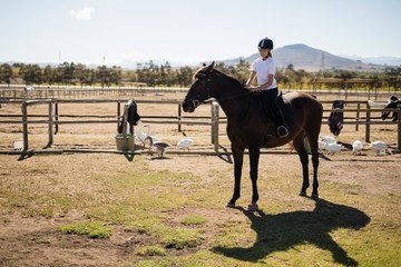 Girl riding a horse in the ranch