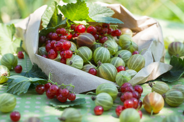Ripe berries in paper packaging