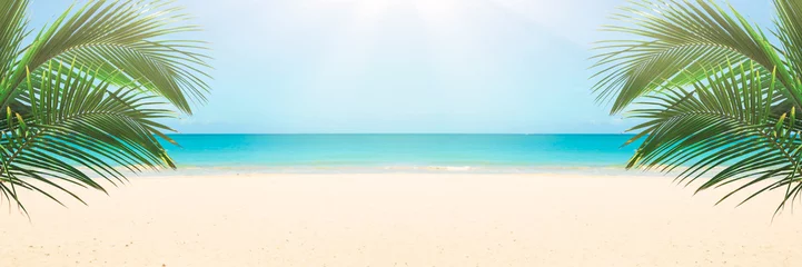 Foto op Plexiglas Tropisch strand Zonnig tropisch strandpanorama, turquoise Caribische zee met palmbomen