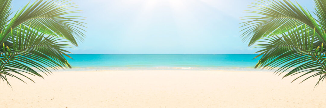 Fototapeta Słoneczna tropikalna plaża panorama, turkusowe morze Karaibskie z palmami