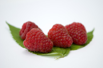 Bright red fresh raspberries, from a family orchard. The raspberry type is Polana © mr2853