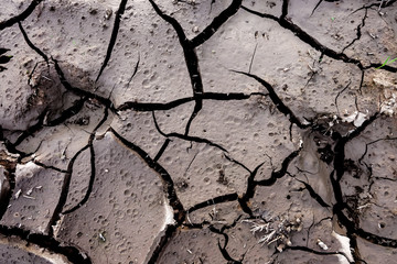 soil close up texture background.