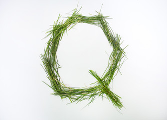 Q letter of alphabet written with fresh green grass
