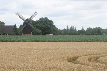 Alte Bockwindmühle © Inka