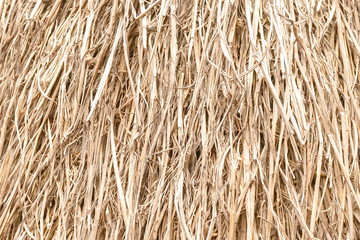 dried leaves of the nipa palm texture background