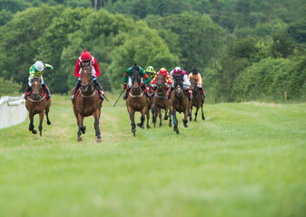 Race horses and jockeys on the home straight sprinting towards the finish line