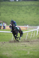 single race horse and jockey racing down the track kicking up dirt