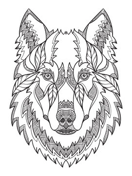Gray wolf head zentangle stylized, vector, illustration, freehand pencil, hand drawn, pattern. Zen art. Ornate vector. Black and white illustration on white background.