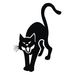 black cat