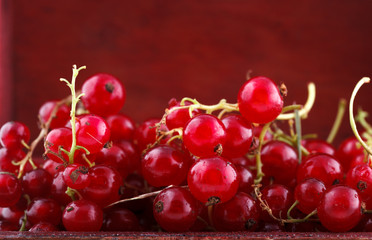 Red currant