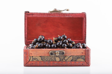 Black currant, berries