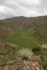 Obraz premium Tandooreh National Park, Razavi Khorasan, Iran