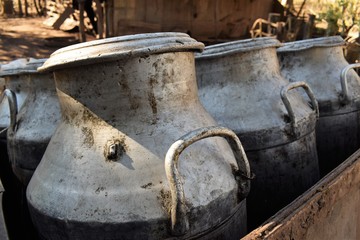 Cans of milk in a family farm