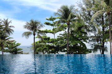 Plakat Swimming pool with a view of palm trees
