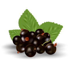 Berries Of Black Currant With Green Leaves Isolated On A White Background.