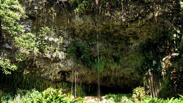 Fern Grotto, Wailua State Park, Kauai, Hawaii