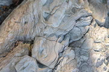 textures of nature