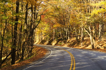 Caesar's Head State Park Mountain Road