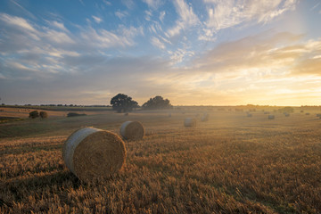 Straw in the bales in the field after the harvest © Mike Mareen