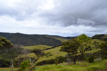 Obraz premium valley in New Zealand