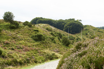     Landscape and lovely nature in Rebild Hills in Denmark