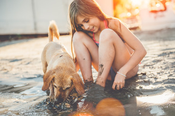 Girl with dog playing in shallow water - obrazy, fototapety, plakaty