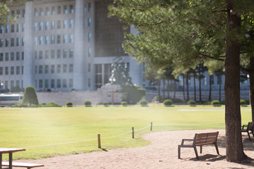 Park Bench under the tree in the Morning Light