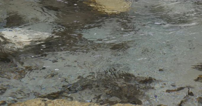 Clean transparent water in brook