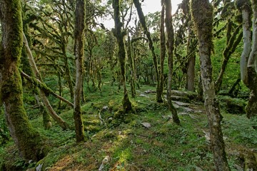 Obraz premium Beautiful views in the canyon Psaho