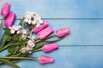 Fototapeta na wymiar Apple tree flowers and pink tulips on blue wooden background.
