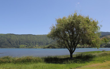 Sete Cidades, Sao MIguel, Azores, Portugal