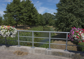 bridge over brook with flowers in countryside north of antwerp in belgium