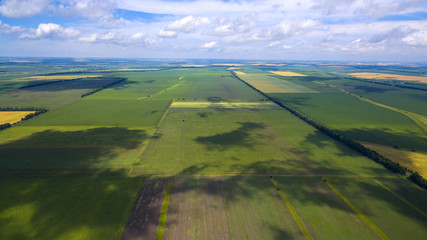 A panorama of a field of summer days from a bird's-eye view 